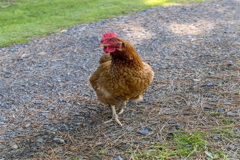 Photo of property in 450 Waitarere Beach Road, Waitarere, Levin, 5574