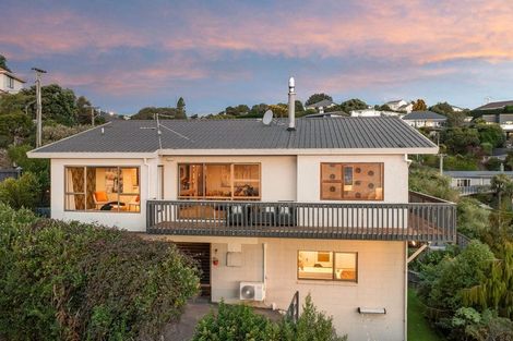 Photo of property in 40 Shandon Road, Vauxhall, Dunedin, 9013