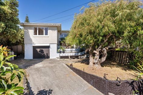 Photo of property in 41 Lupin Road, Otaki, 5512