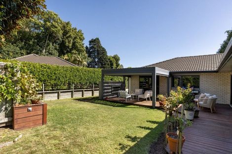 Photo of property in 113 Chater Avenue, Bethlehem, Tauranga, 3110