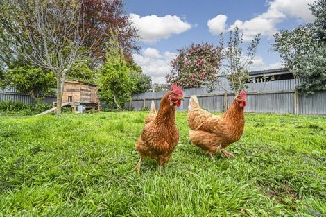 Photo of property in 805 Maitland Crescent, Mayfair, Hastings, 4122