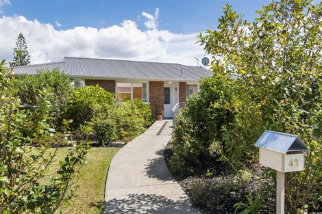 Photo of property in 43 Newhaven Terrace, Mairangi Bay, Auckland, 0630
