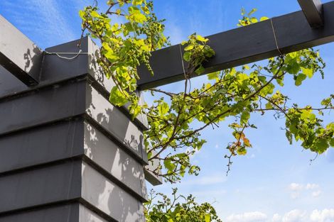 Photo of property in 8 Fernbird Avenue, Te Kauwhata, 3710