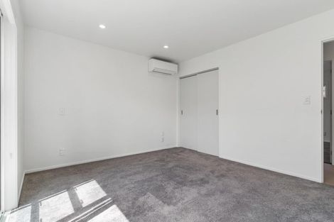 Photo of property in 22a Hazel Avenue, Mount Roskill, Auckland, 1041