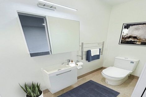 Photo of property in Aniva Terrace, 18 Ferguson Street, Newtown, Wellington, 6021