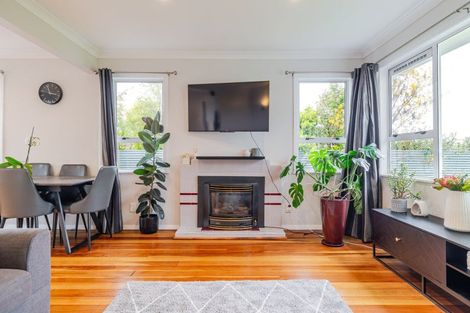 Photo of property in 4 Eton Place, Terrace End, Palmerston North, 4410