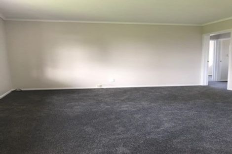 Photo of property in 24 Ireland Road, Mount Wellington, Auckland, 1060