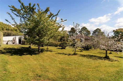 Photo of property in 14 Nga Parae Road, Oropi, Tauranga, 3173