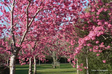 Photo of property in 1437 Pohangina Road, Pohangina, Ashhurst, 4884