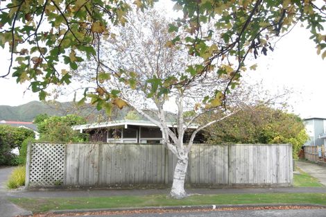 Photo of property in 34 Pinny Avenue, Epuni, Lower Hutt, 5011