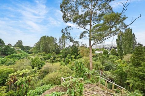 Photo of property in 20a Taniwha Street, Frankton, Hamilton, 3204