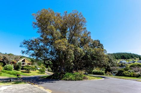 Photo of property in 113 The Grove, Onemana, Whangamata, 3691