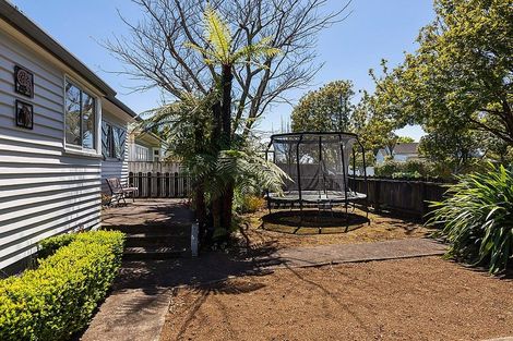 Photo of property in 14 Newcastle Terrace, Mount Albert, Auckland, 1025