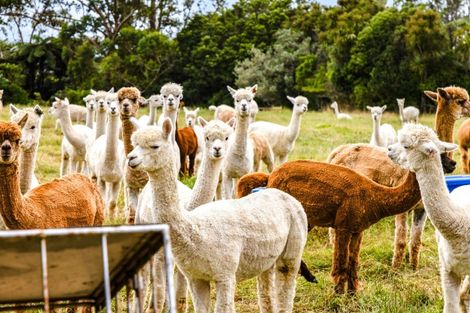 Photo of property in 680 Hurford Road, Hurford, New Plymouth, 4374