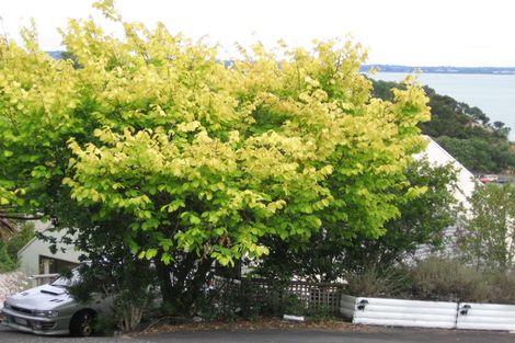 Photo of property in 7 Seahorse Place, Beach Haven, Auckland, 0626