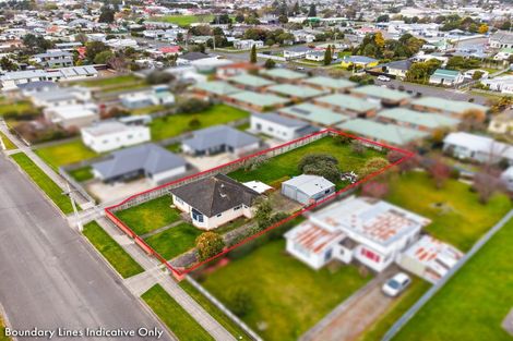 Photo of property in 21 Mckenzie Street, Levin, 5510