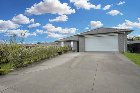 Photo of property in 151 Ballintoy Park Drive, Welcome Bay, Tauranga, 3175