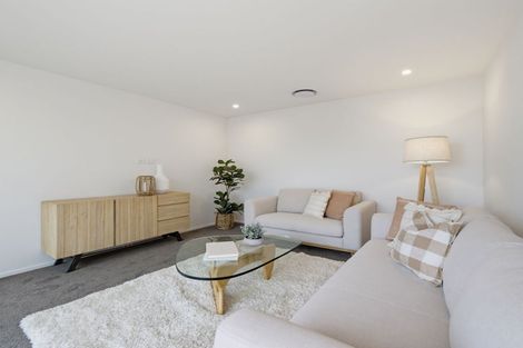 Photo of property in 46 Fairmaid Street, Lincoln, 7608