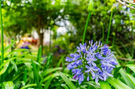 Photo of property in 54 Freyberg Road, Ruawai, 0530