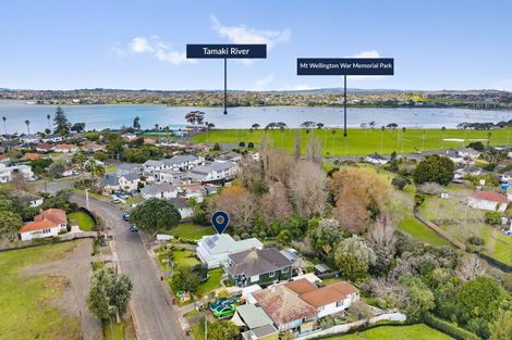 Photo of property in 22 Larsen Road, Panmure, Auckland, 1072