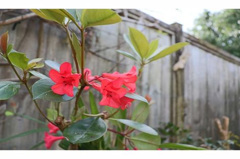 Photo of property in 38b Second Avenue, Avenues, Whangarei, 0110