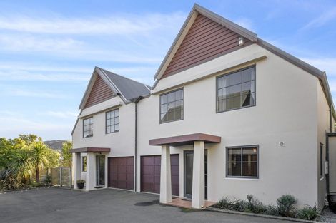 Photo of property in 124b The Ridgeway, Mornington, Wellington, 6021