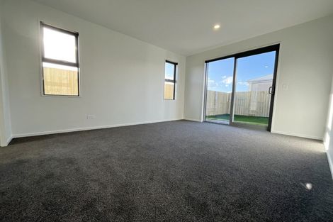 Photo of property in 21 Rita Angus Road, Belfast, 8051