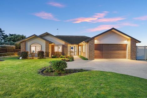 Photo of property in 110 Butcher Road, Pukekohe, 2120