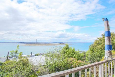 Photo of property in 46 Walker Street, Bluff, 9814