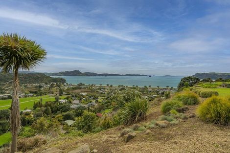Photo of property in 899f Purangi Road, Cooks Beach, Whitianga, 3591