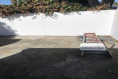 Photo of property in 9 Wright Street, Mount Cook, Wellington, 6021