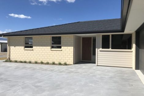 Photo of property in 5 Kinnaird Close, Alexandra, 9320