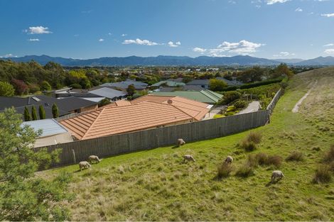 Photo of property in 61 Forest Park Drive, Witherlea, Blenheim, 7201