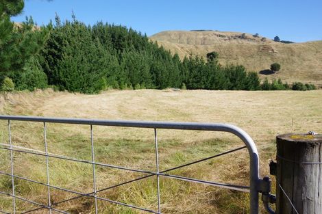Photo of property in 487 Whangamata Road, Kinloch, Taupo, 3377