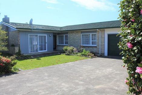 Photo of property in 38 Guy Street, Dannevirke, 4930