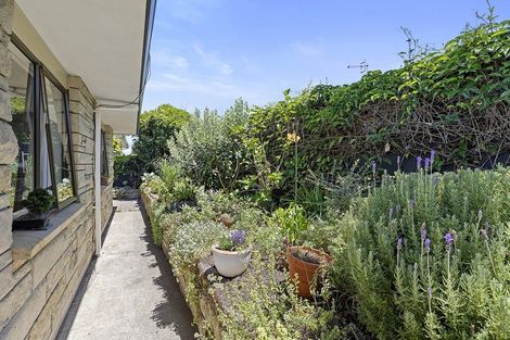 Photo of property in 217b Valley Road, Mount Maunganui, 3116
