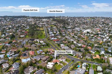 Photo of property in 3 Trevone Place, Forrest Hill, Auckland, 0620