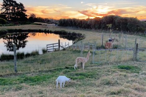 Photo of property in 27 Raukawa Road, Peka Peka, Waikanae, 5391