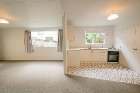 Photo of property in 1/19 William Street, Dunedin Central, Dunedin, 9016