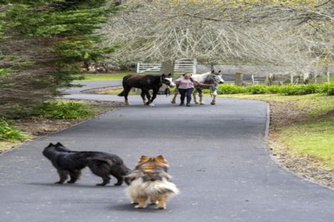 Photo of property in 92 Brownhill Road, Whitford, Manurewa, 2576