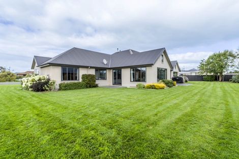 Photo of property in 20 Prince Street, Winton, 9720