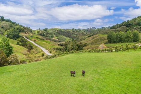 Photo of property in 32 Waere Valley Lane, Warkworth, 0981