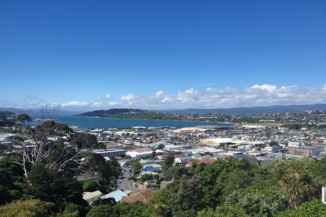 Photo of property in 60 Rodrigo Road, Kilbirnie, Wellington, 6022