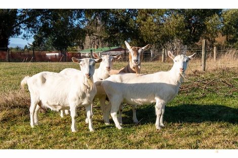 Photo of property in 32 Willowbridge Settlement Road, Waimate, 7980