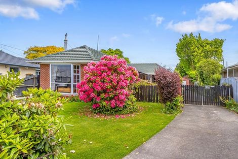 Photo of property in 41 Hindess Street, Halswell, Christchurch, 8025