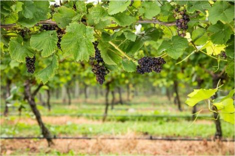 Photo of property in 17 Riverside Drive, Ohau, 5570