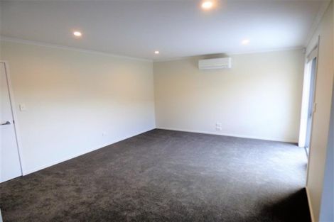 Photo of property in 41 Mcnally Road, Pukekohe, 2120