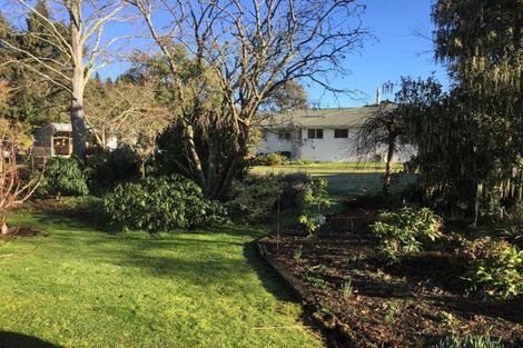 Photo of property in 77 Mill Road, Waimate, 7924