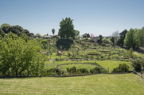 Photo of property in 15a King Street, Te Puke, 3119