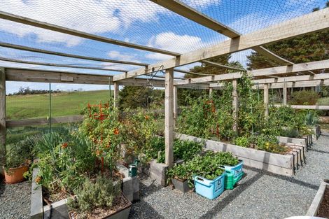 Photo of property in 37 Cotton Lane, Mangawhai, Wellsford, 0975